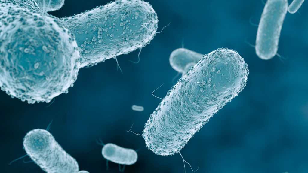 Commercial Refrigeration Food Safety