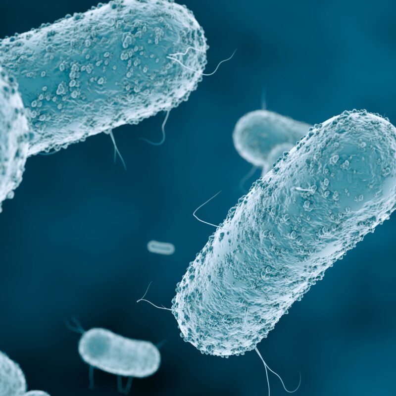 Commercial Refrigeration Food Safety